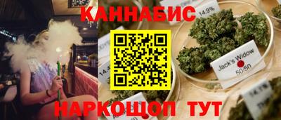 индика Рузаевка