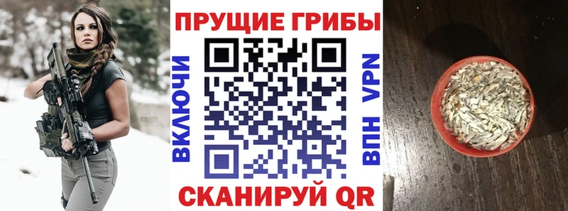 ОМГ ОМГ ссылки  Нягань  Псилоцибиновые грибы MAGIC MUSHROOMS 