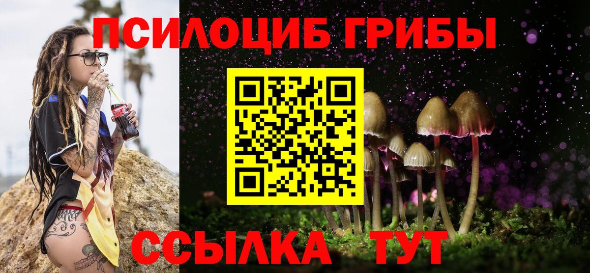 Галлюциногенные грибы прущие грибы Нягань